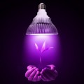 PROFI LED žiarovka pre všetky rastliny 7W, E27, High-power+, ružovo-modrá
